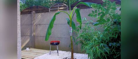 A small garden area with a bamboo plant, a wooden bench, and a concrete wall.