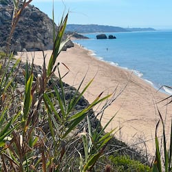 Beach nearby, white sand, beach umbrellas, beach towels