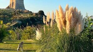 Une tour historique, perchée sur une colline, avec un champ verdoyant et des touffes d’herbe des pampas au premier plan.