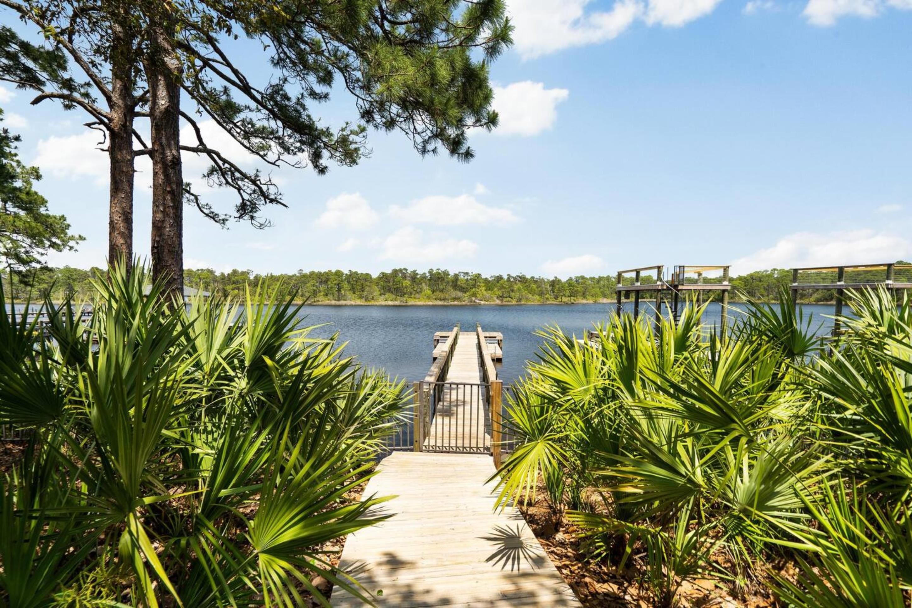 A wooden dock leading to a lake, surrounded by palm trees and a forest in the background.
