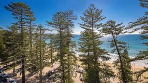 Una playa con altos pinos, cielo azul despejado y vista al océano.