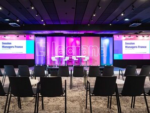 Meeting facility - Pullman Lyon  (Lyon)