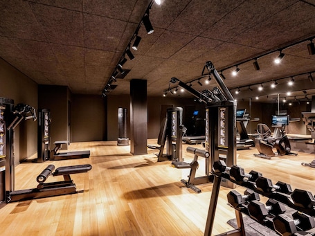 Salle de remise en forme. Pullman Lyon
