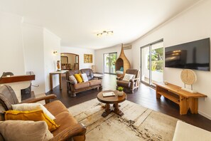 تلفزيون، مشغل دي في دي