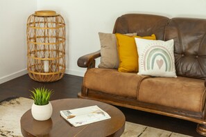 تلفزيون، مشغل دي في دي