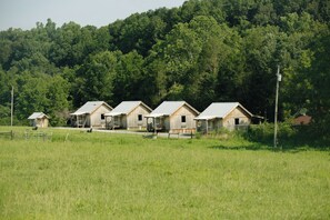 Eine Reihe von Holzhütten mit Metalldächern, eingebettet in ein saftiges Wiesfeld, mit einem bewaldeten Hügel im Hintergrund.