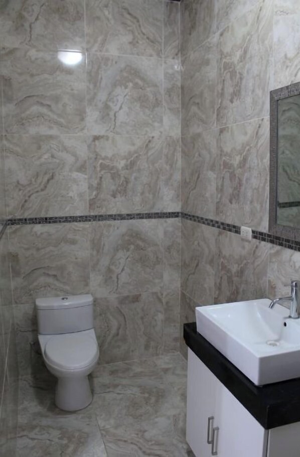 Shower, hair dryer, bidet, towels