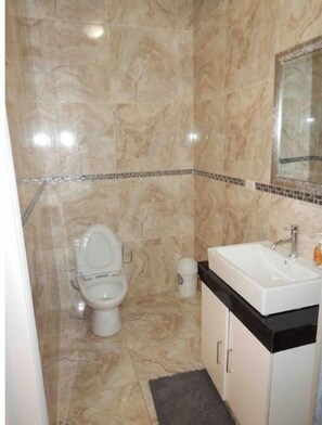 Shower, hair dryer, bidet, towels