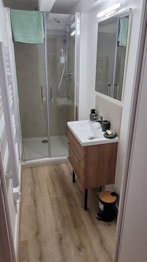 Regadera, toallas, jabón, papel de baño 