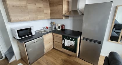 Appart' 3 chambres 3 sdb centre-ville St Etienne