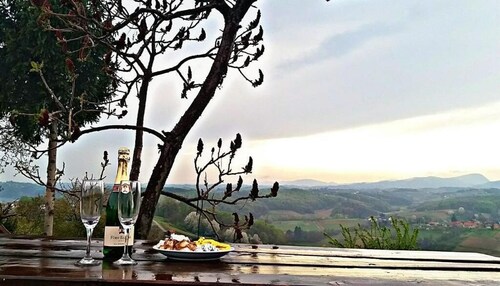 Villa Nature plus JACUZZI - party & holiday house