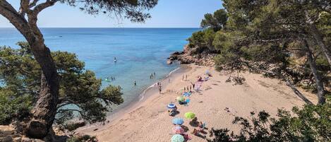 Playa