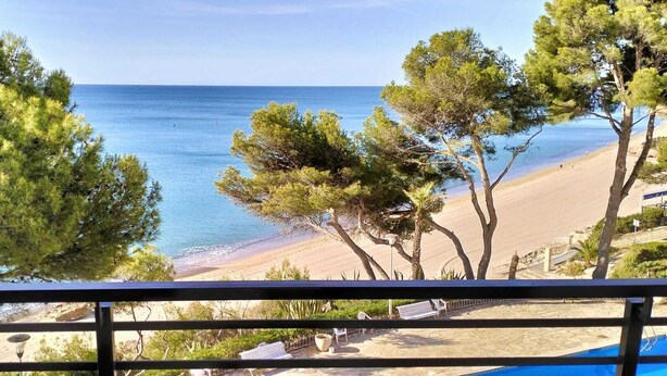 A beach view with trees and a clear sky. - Incredible view right on the beach! (Miami Playa)