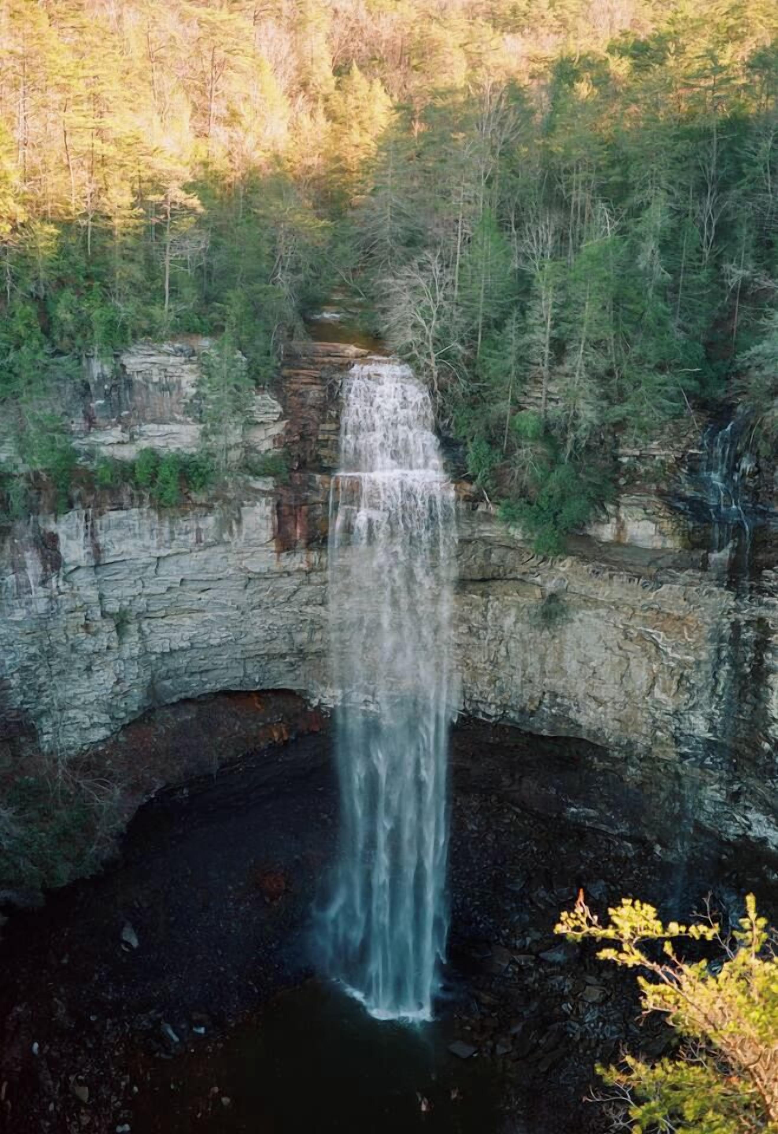 Una cascada se precipita por un acantilado rocoso rodeado de un bosque denso.