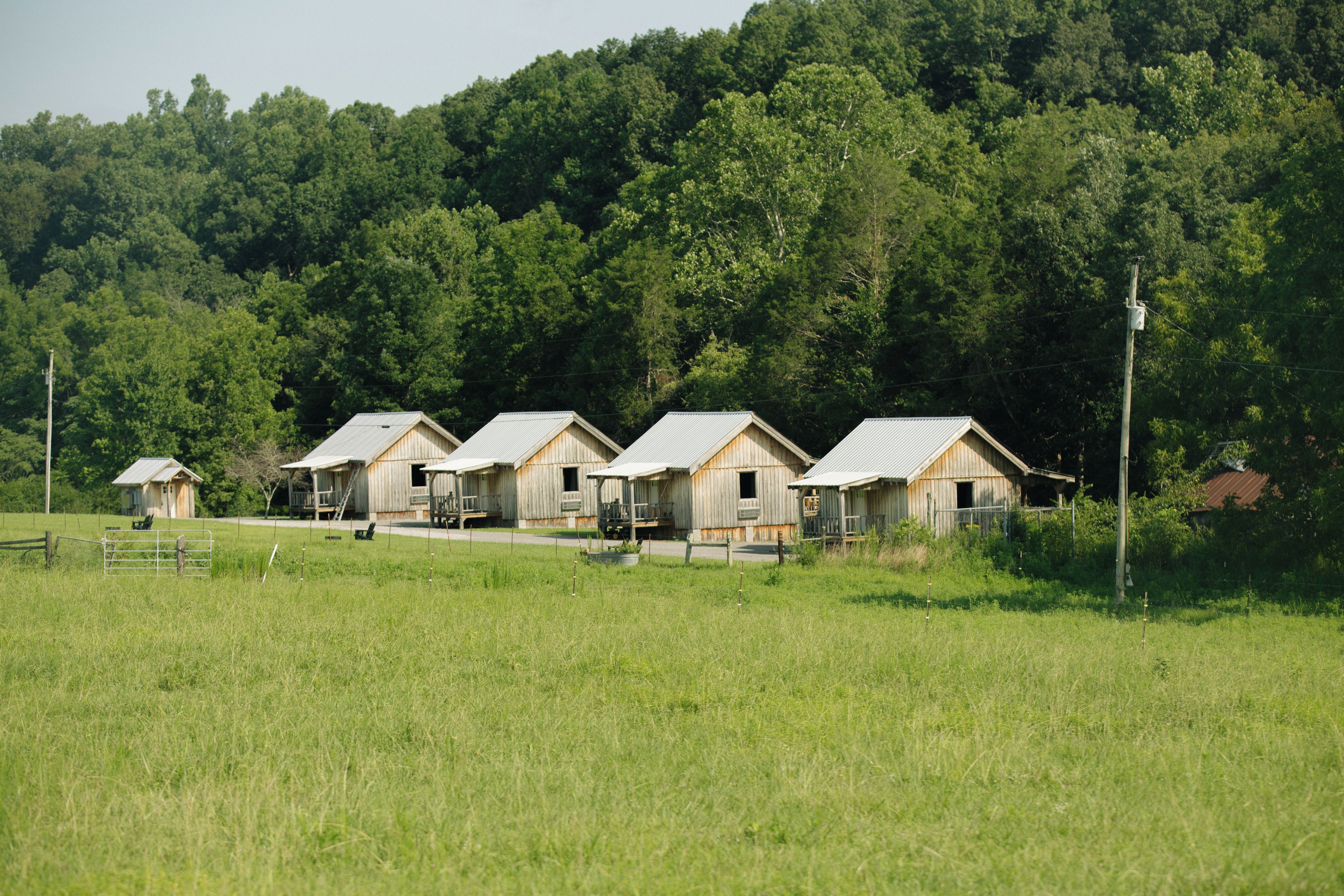Une rangée de cabanes en bois, surmontées de toits en métal, se dresse dans un champ verdoyant, avec une colline boisée en arrière-plan.