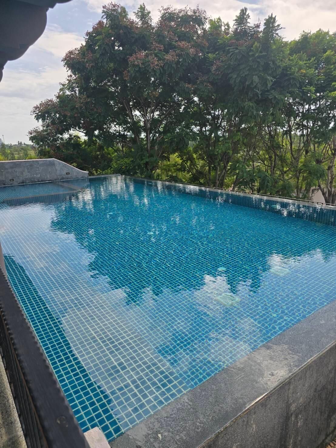 Piscina rectangular con agua azul cristalina, rodeada de árboles y una terraza de hormigón.