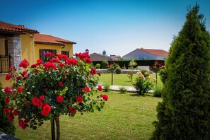 Stroll through the beautifully maintained garden, surrounded by lush plants and vibrant flowers, including a stunning rose bush.