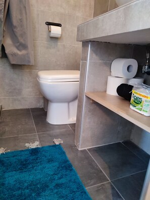 Eco-friendly toiletries, hair dryer, towels, soap