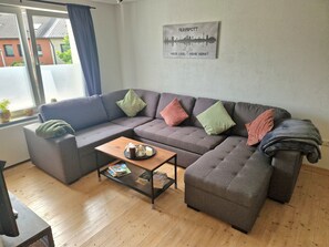 Smart TV, chimenea, libros