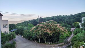 Property grounds - Cozy house on the peacefull village near Brseč (Brsec)