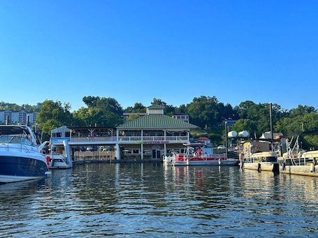 A marina with boats docked, a waterfront restaurant, and a building with a green roof.