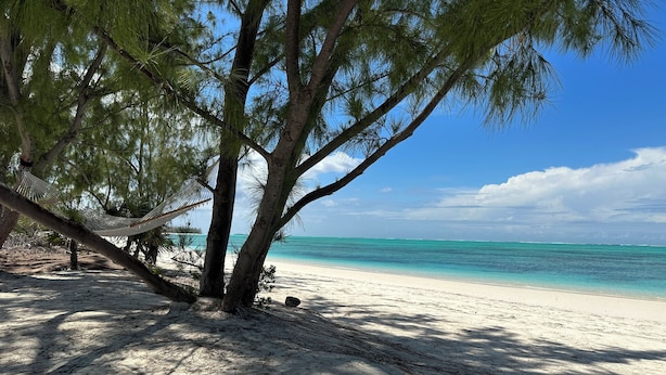A beach with a hammock under a tree, clear turquoise water, and a sandy shore. - BRAND NEW Beachfront Villa best sandy beach in TCI with pool Fox Tail Palm Villa (Whitby)