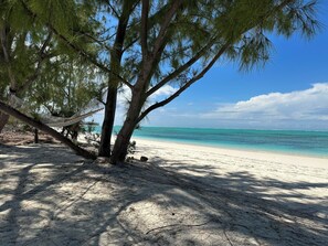 Ein Strand mit einer Hängematte unter einem Baum, klarem türkisblauem Wasser und einem sandigen Ufer.