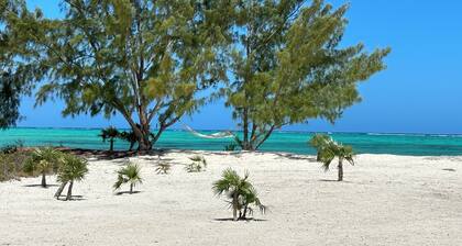 BRAND NEW Beachfront Villa best sandy beach in TCI with pool Fox Tail Palm Villa