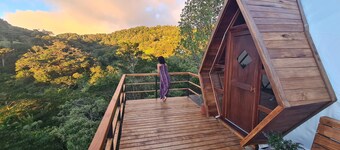 Naturave #1 Into the woods, 1