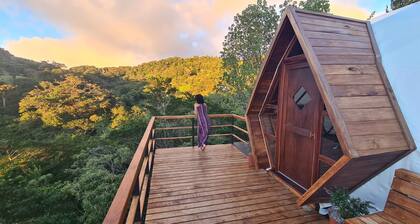 Naturave #1 Into the woods, 1