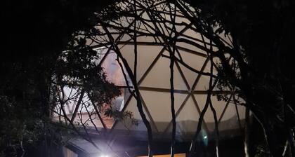 Naturave #1 Into the woods, 1