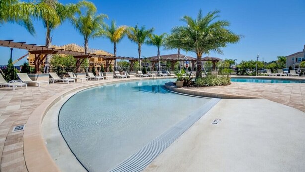 Un área de piscina con sillones reclinables y palmeras.