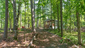 A cabin in a forest with a gravel path leading to it.