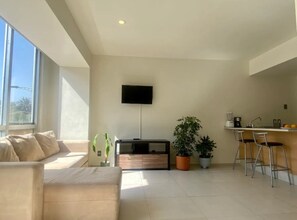 Living area - B104- 1 BR /1 BTH - One Bedroom Apartment, Sleeps 3 (Ciudad de México)