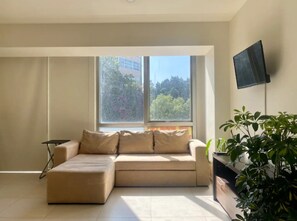 Living area - B104- 1 BR /1 BTH - One Bedroom Apartment, Sleeps 3 (Ciudad de México)