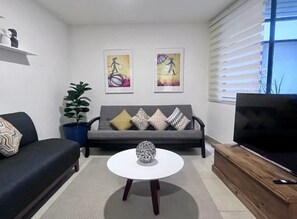 Televisión 