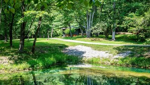 A serene outdoor area with a clear pond, surrounded by lush greenery and trees, with a path leading to a building in the background.