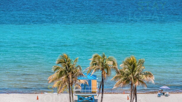 On the beach, sun-loungers, beach towels - ★★★★★ Luxury Condo Just Steps Away from the Beach (Hollywood)