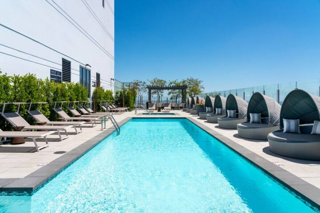 Level Hope & Flower: Stunning One Bedroom Suite