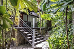 Property grounds - 17 Wharf Street - Main House & Bungalow (Port Douglas)