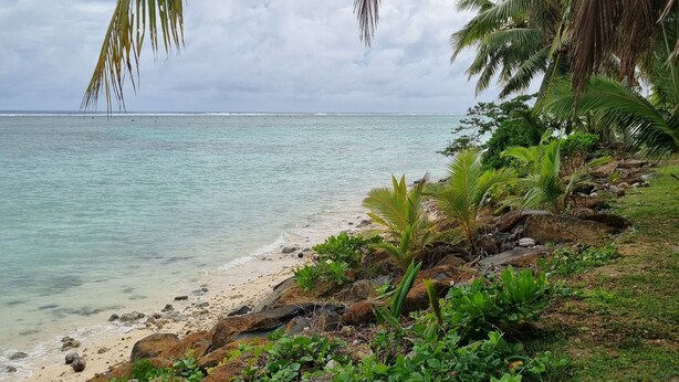 En strand med klart turkis vand, en sandet kystlinje og frodig vegetation, heriblandt palmer.