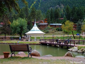 Property grounds - Romantic Home w/ Hot Tub, Mt. Views & Art (Cascade-Chipita Park)