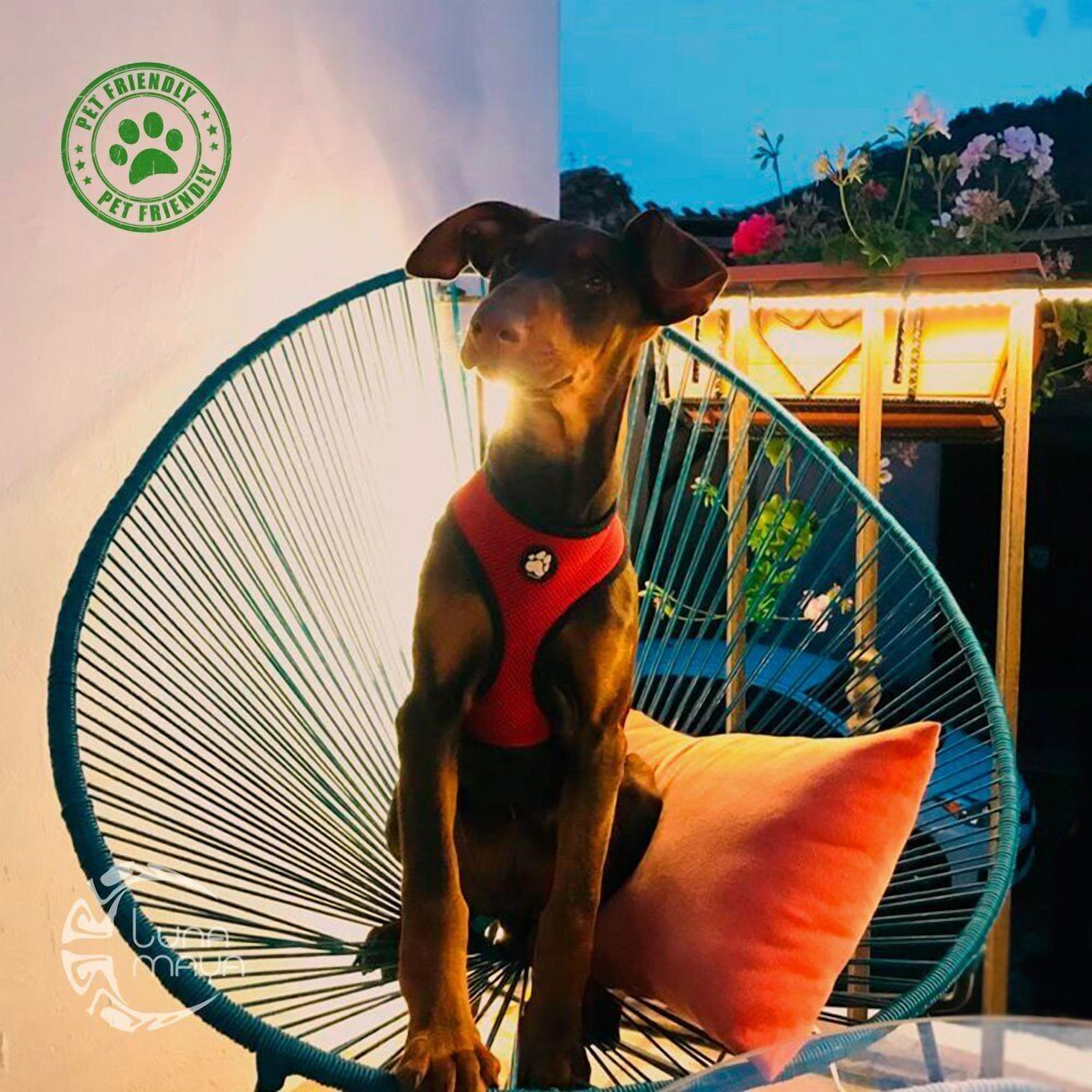 Photo - Luna Maya Antigua