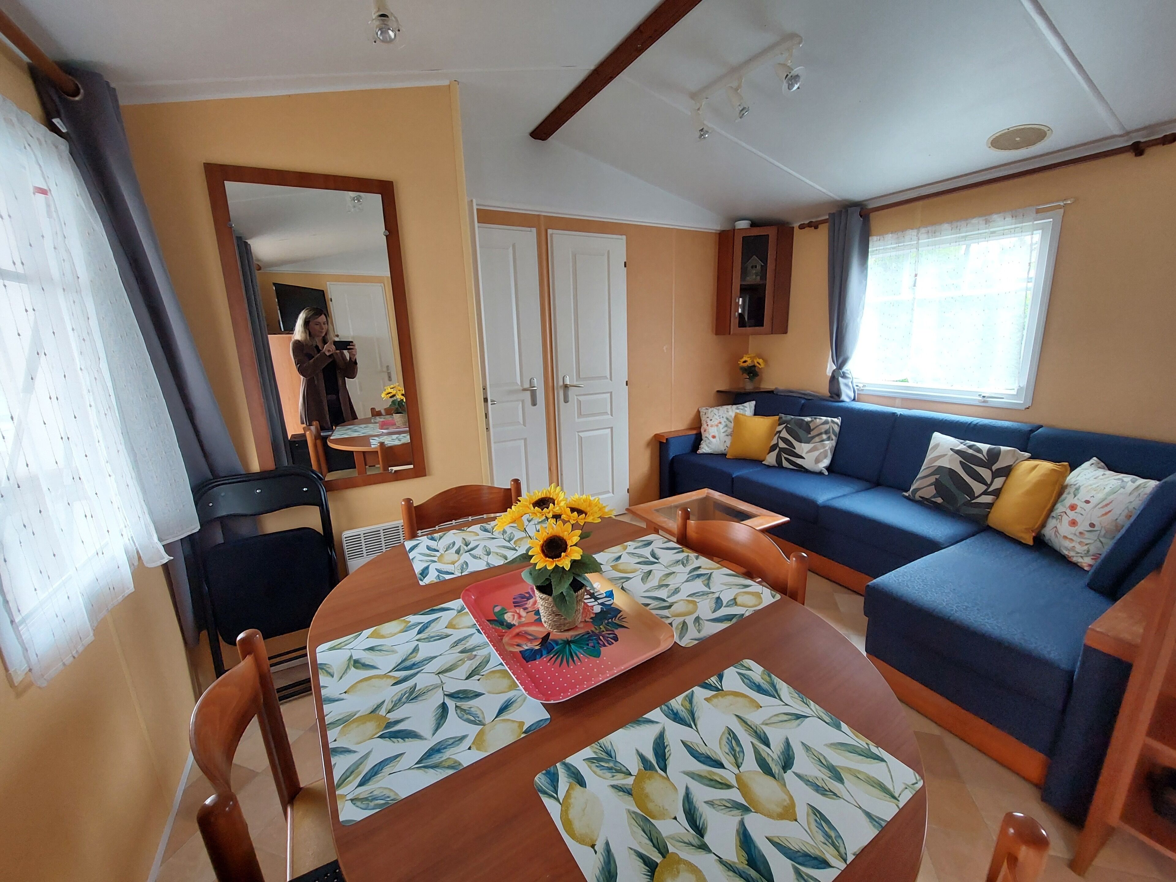 Smart TV, table tennis, music library