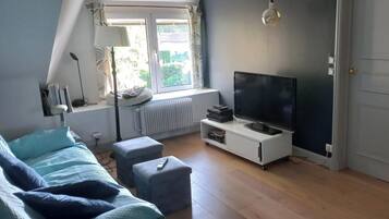 Télévision, cheminée, livres, écrans d'ordinateur