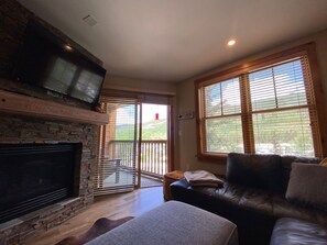 Smart TV, fireplace, books