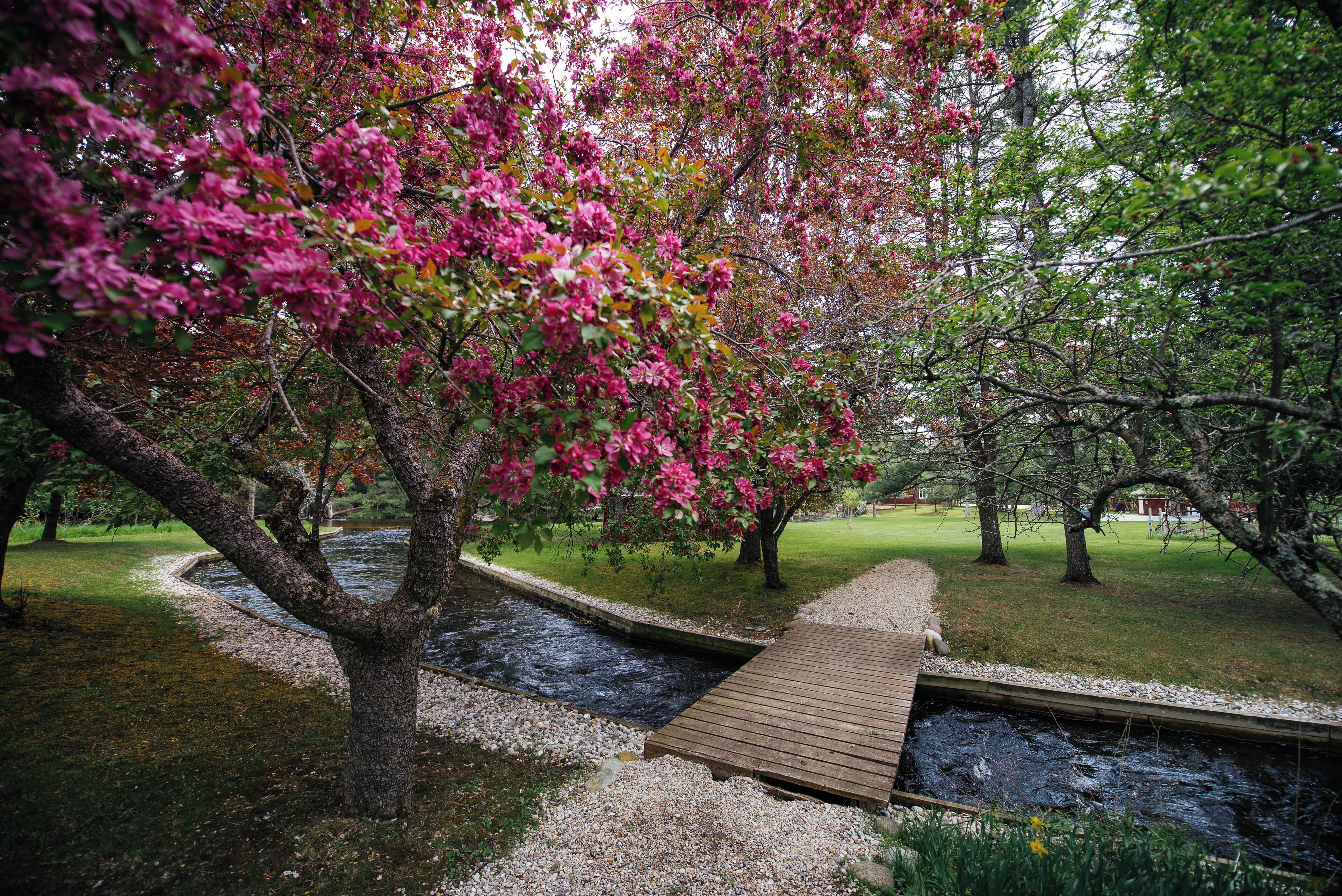 Vista desde la propiedad