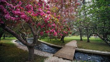 Vista desde la propiedad