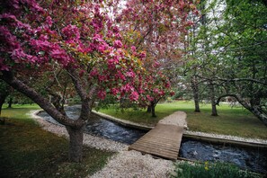 View from property - Grayling Gem Royal Stag Lodge (Grayling)