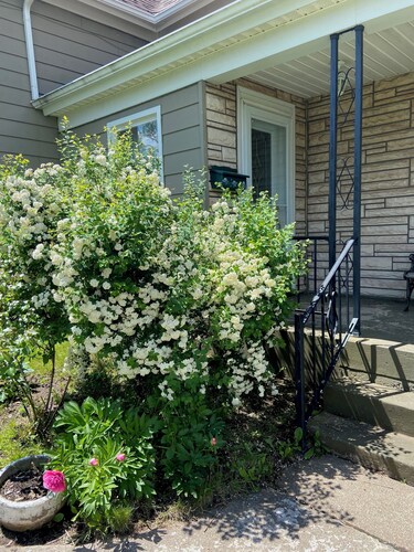 Cozy & Spacious 3 bedroom house